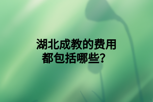 湖北成教的費(fèi)用都包括哪些？