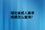 <b>湖北省成人高考成績(jī)?cè)趺床樵儯?/b>