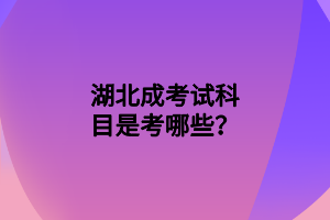 湖北成考試科目是考哪些？