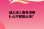 湖北成人高考成績(jī)什么時(shí)候能出來(lái)？