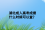 湖北成人高考成績(jī)什么時(shí)候可以查？