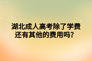 湖北?成人高考除了學(xué)費(fèi)還有其他的費(fèi)用嗎？