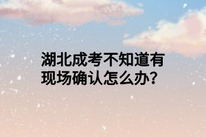 湖北成考不知道有現(xiàn)場(chǎng)確認(rèn)怎么辦？