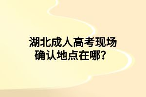 湖北成人高考現(xiàn)場(chǎng)確認(rèn)地點(diǎn)在哪？