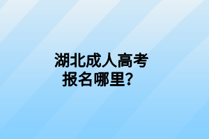 湖北成人高考報(bào)名哪里？