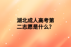 湖北成人高考第二志愿是什么？