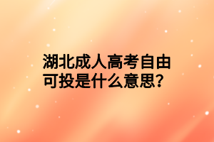 湖北成人高考自由可投是什么意思？