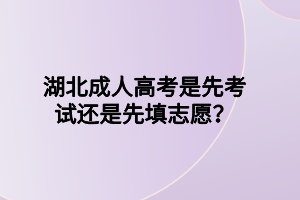 湖北成人高考是先考試還是先填志愿？