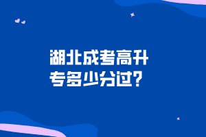 湖北成考高升專多少分過？