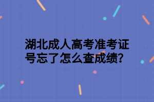 湖北成人高考準(zhǔn)考證號忘了怎么查成績？