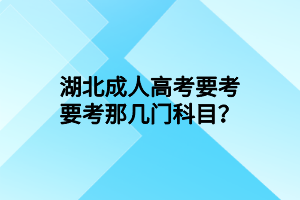 湖北成人高考要考要考那幾門科目？