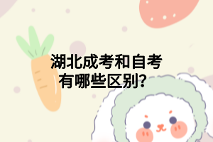 湖北成考和自考有哪些區(qū)別？