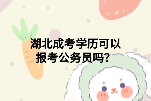 湖北成考學(xué)歷可以報(bào)考公務(wù)員嗎？