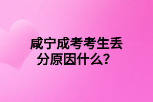 咸寧成考考生丟分原因什么？