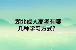 湖北成人高考有哪幾種學習方式？
