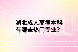 湖北成人高考本科有哪些熱門專業(yè)？
