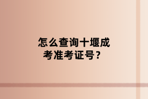 怎么查詢十堰成考準考證號？