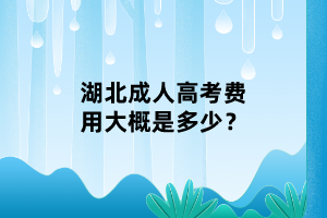 湖北成人高考費用大概是多少？