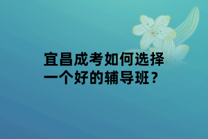 宜昌成考如何選擇一個(gè)好的輔導(dǎo)班？