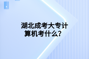 湖北成考大專計(jì)算機(jī)考什么？