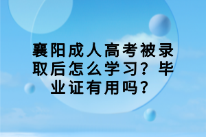 襄陽成人高考被錄取后怎么學習？畢業(yè)證有用嗎？