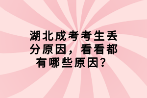 湖北成考考生丟分原因，看看都有哪些原因？