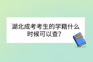 湖北成考考生的學(xué)籍什么時(shí)候可以查？