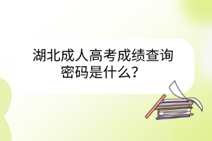 湖北成人高考成績查詢密碼是什么？