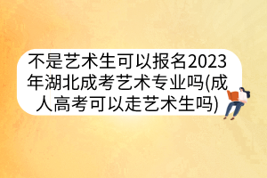 不是藝術(shù)生可以報(bào)名2023年湖北成考藝術(shù)專業(yè)嗎(成人高考可以走藝術(shù)生嗎)
