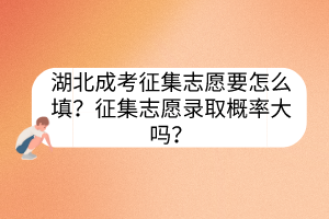 湖北成考征集志愿要怎么填？征集志愿錄取概率大嗎？