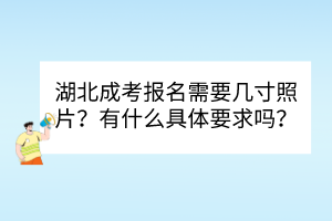 湖北成考報名需要幾寸照片？有什么具體要求嗎？