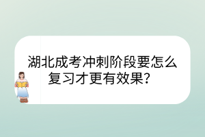湖北成考沖刺階段要怎么復(fù)習才更有效果？