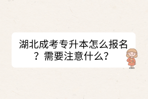 湖北成考專升本怎么報(bào)名？需要注意什么？