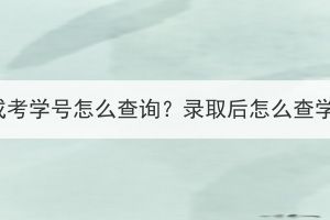 湖北成考學(xué)號(hào)怎么查詢？錄取后怎么查學(xué)籍？