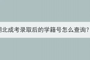 湖北成考錄取后的學(xué)籍號怎么查詢？