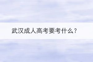 武漢成人高考要考什么？