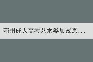 鄂州成人高考藝術(shù)類(lèi)加試需要自帶考試工具嗎？