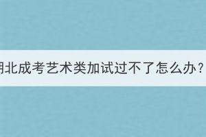 湖北成考藝術(shù)類(lèi)加試過(guò)不了怎么辦？