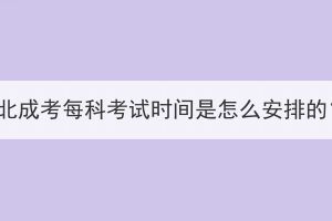 湖北成考每科考試時間是怎么安排的？