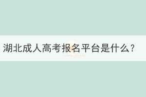 湖北成人高考報(bào)名平臺(tái)是什么？