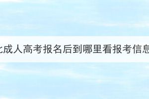 湖北成人高考報名后到哪里看報考信息？