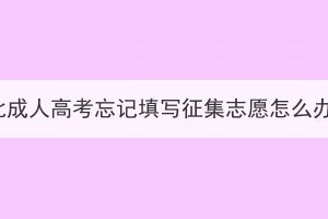湖北成人高考忘記填寫(xiě)征集志愿怎么辦？