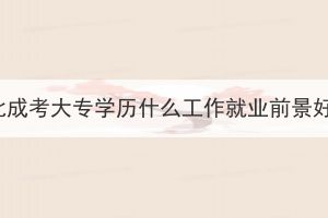 湖北成考大專學歷什么工作就業(yè)前景好？
