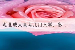 湖北成人高考幾月入學(xué)，多久可以拿到本科證？