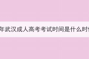 2023年武漢成人高考考試時(shí)間是什么時(shí)候？