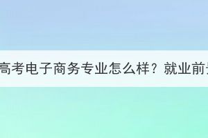 湖北成人高考電子商務專業(yè)怎么樣？就業(yè)前景如何？