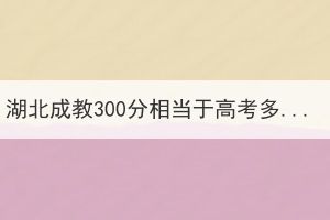 湖北成教300分相當于高考多少分？