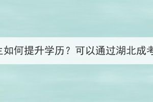 高中生如何提升學(xué)歷？可以通過湖北成考嗎？