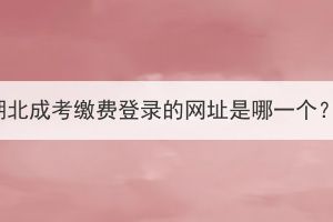 湖北成考繳費登錄的網址是哪一個？
