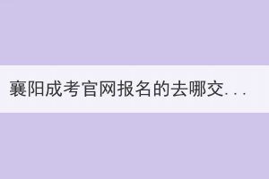 襄陽成考官網(wǎng)報名的去哪交費？